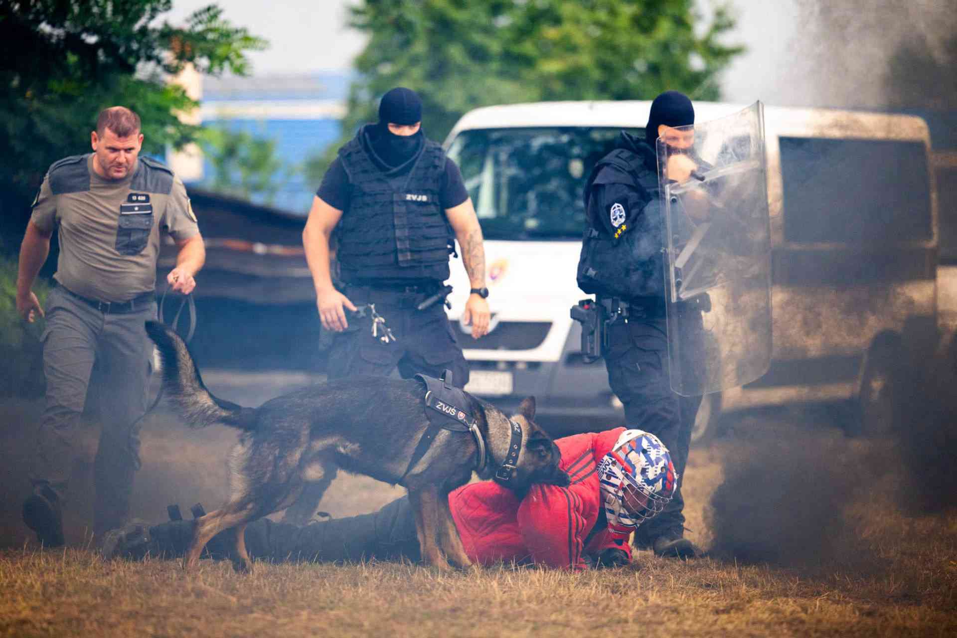 Fotografia článku „Keď nevládzeš, tak pridaj...“