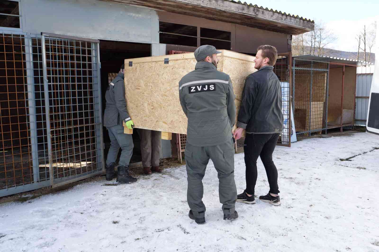 Fotografia článku ZVJS pokračuje v pomoci útulkom