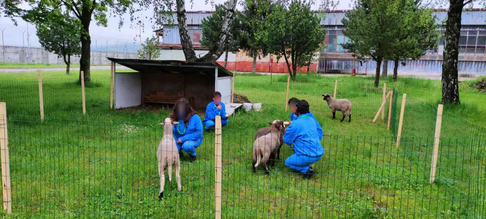 Fotografia článku Využívanie animoterapie pri zaobchádzaní s odsúdenými v ústave Sučany