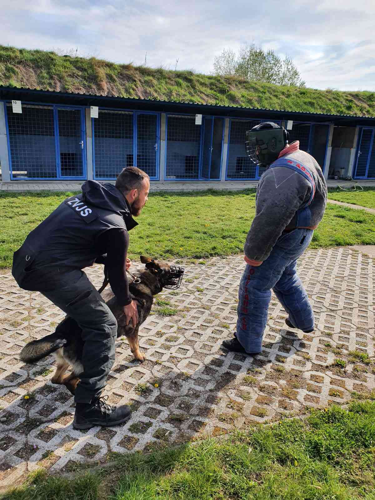 Fotografia článku Zelený štvrtok v znamení záverečných škúšok odborného kurzu psovodov.
