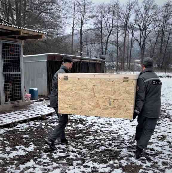 Fotografia článku ZVJS pomáha aj útulkom, 13 psíkov prežije zimu v teple