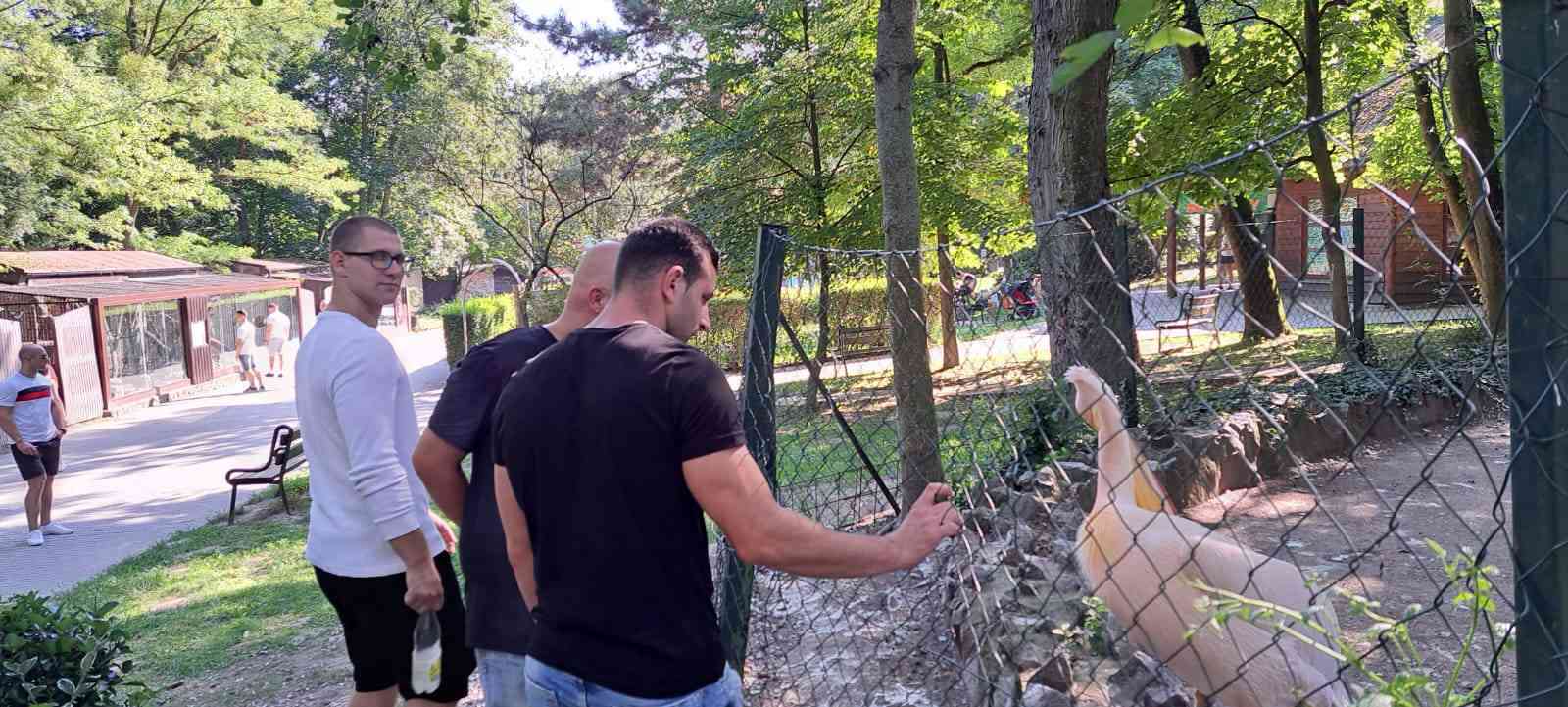 Fotografia článku Wellness pre dušu v bratislavskej ZOO