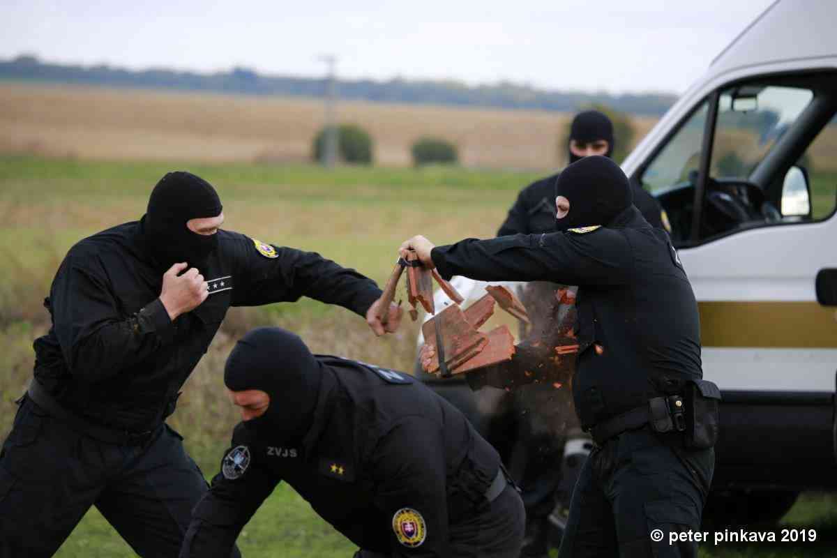 Fotografia článku Deň ústavu Nitra 