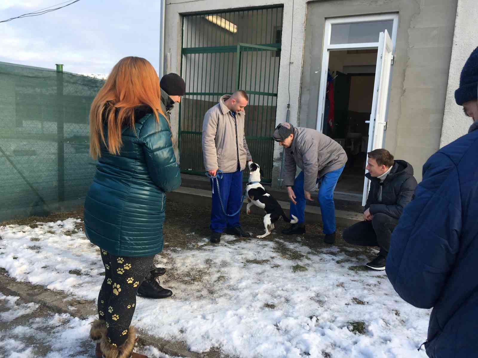Fotografia článku Šanca NIELEN pre psie oči a Najvernejší