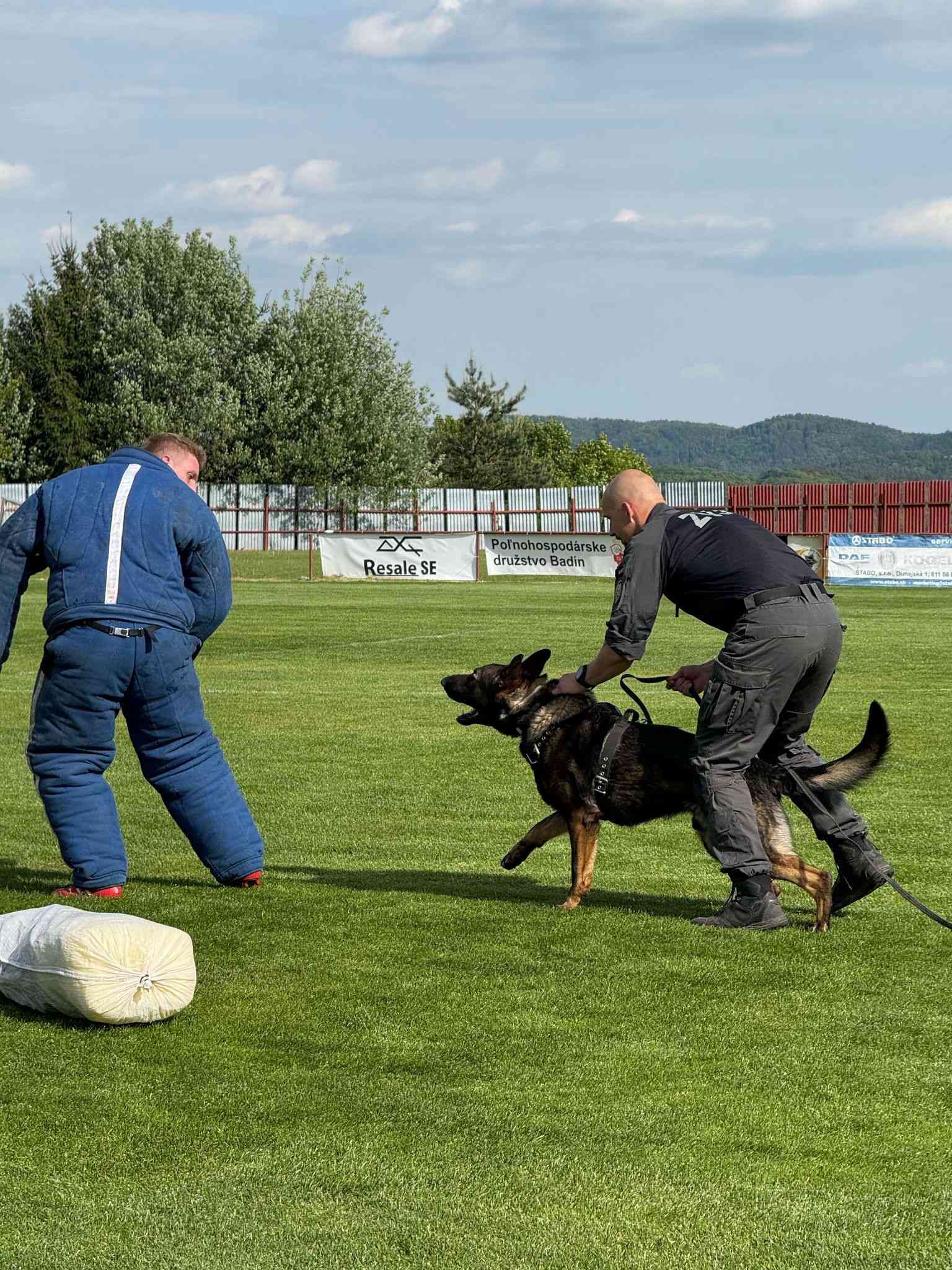 Fotografia článku Medzinárodné inštruktážno-metodické zamestnanie zamerané na špeciálnu a klasickú kynológiu