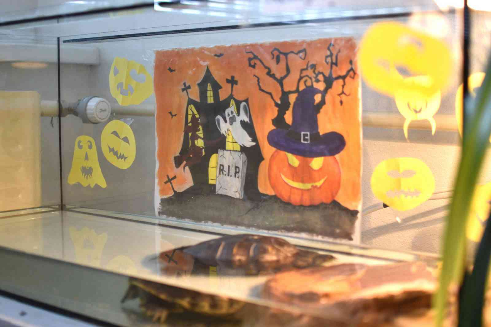 Fotografia článku Halloween v ÚVV a ÚVTOS Nitra