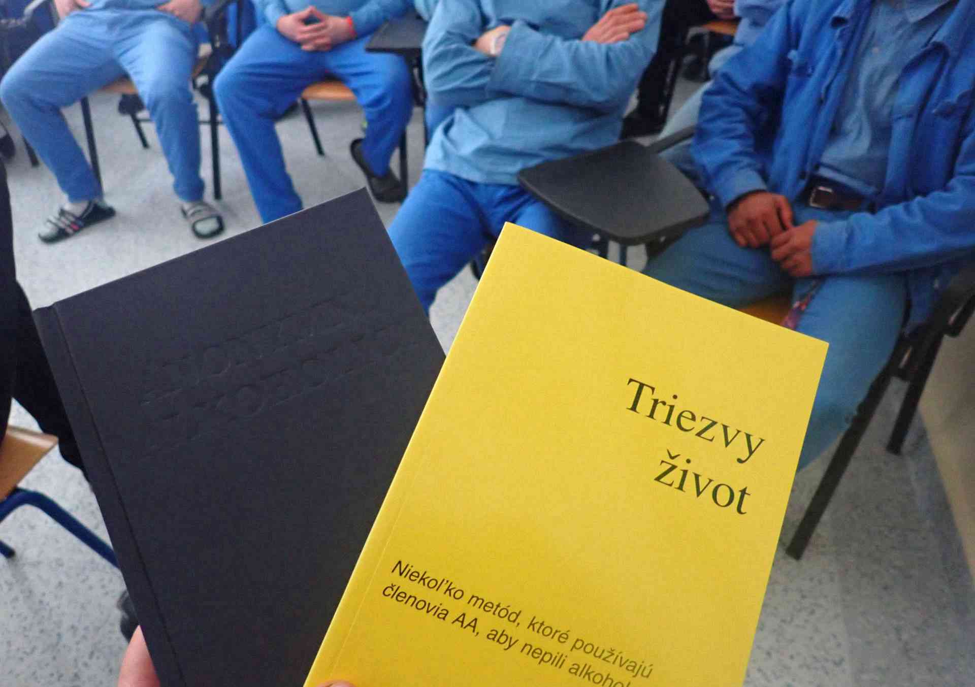 Fotografia článku Anonymní alkoholici v ÚVTOS pre mladistvých Sučany
