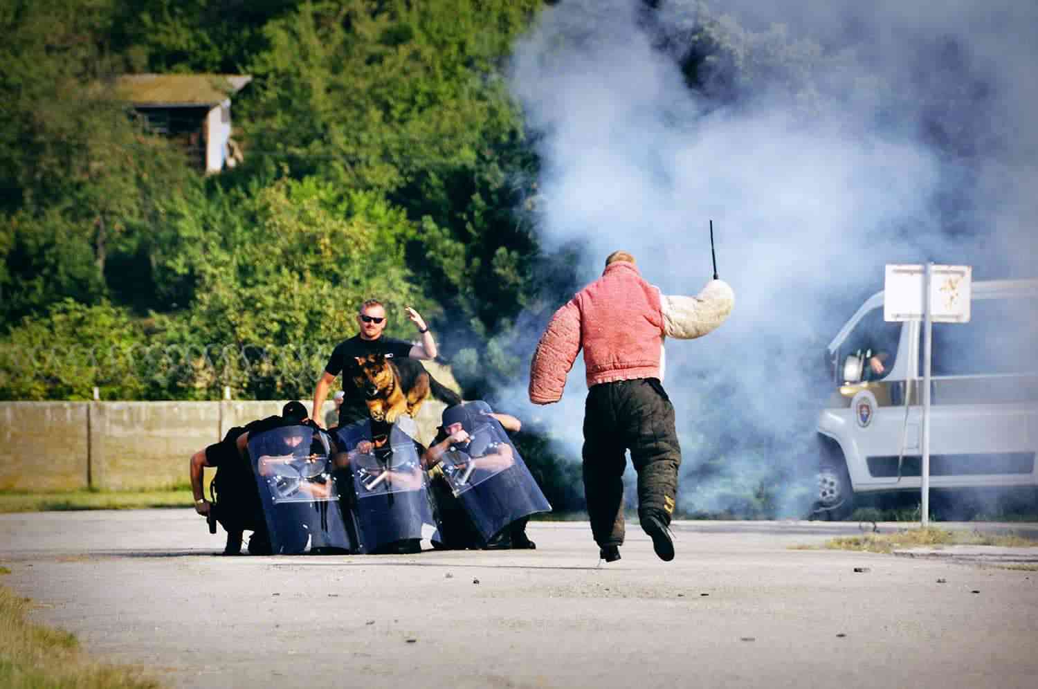 Fotografia článku V službách ZVJS je 146 psov. Najstarším je Udi, ktorého čaká dôstojný dôchodok