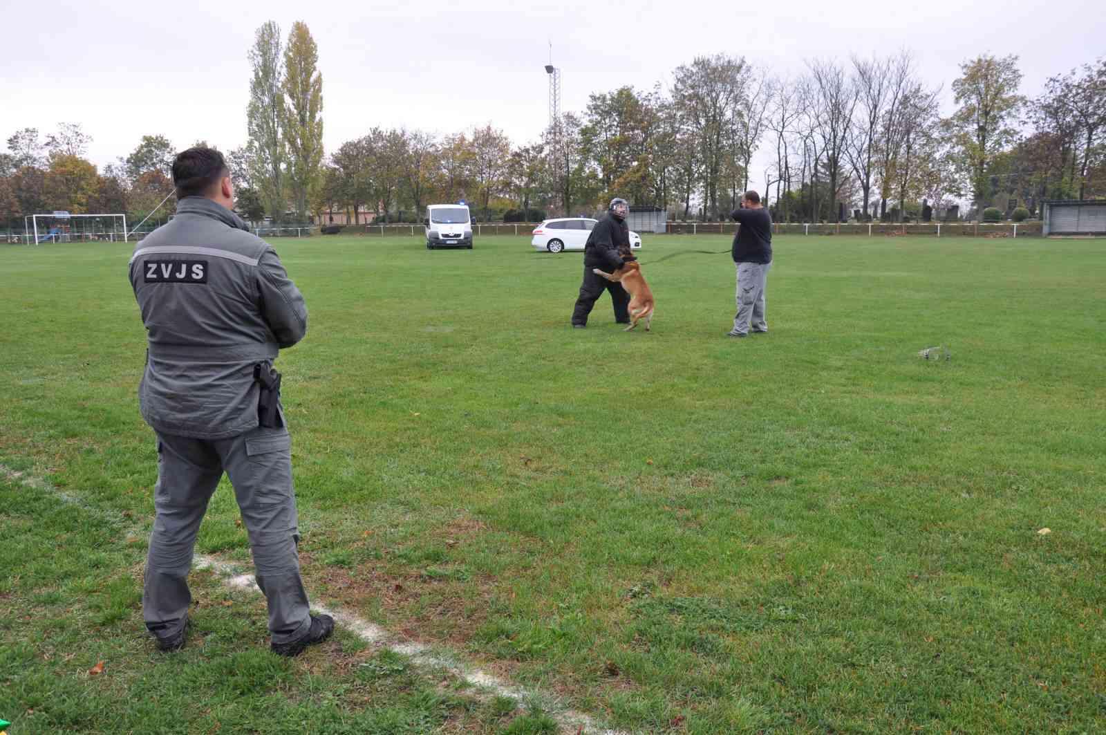 Fotografia článku Ukážky služobnej kynológie ústavu Želiezovce