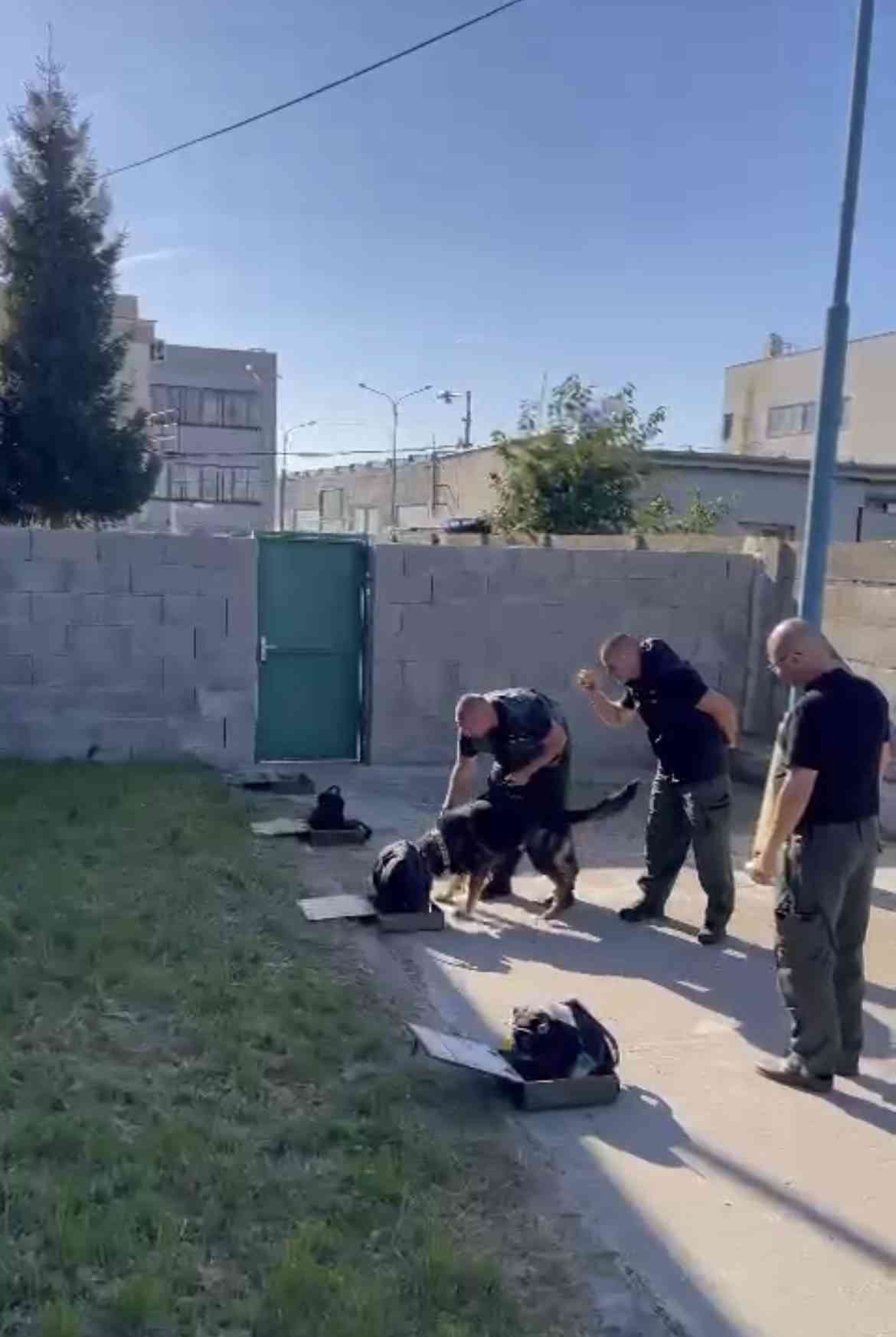 Fotografia článku Kynológovia úspešne zavŕšili šesťtýždňové zdokonaľovanie