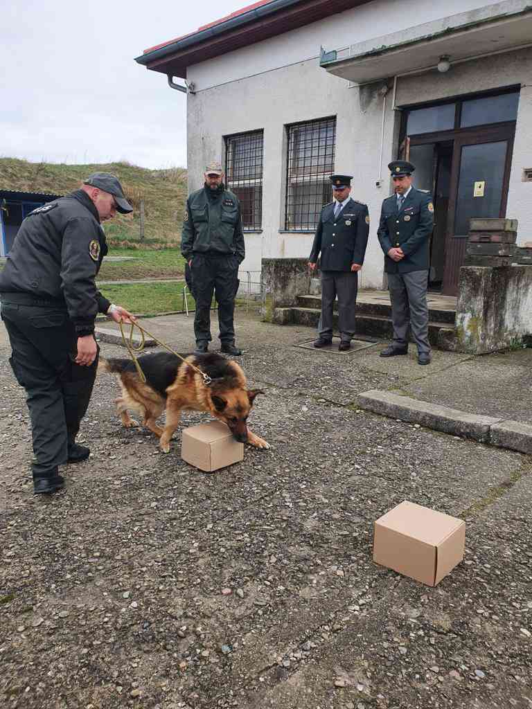 Fotografia článku  Vítame nových kolegov psovodov špecialistov