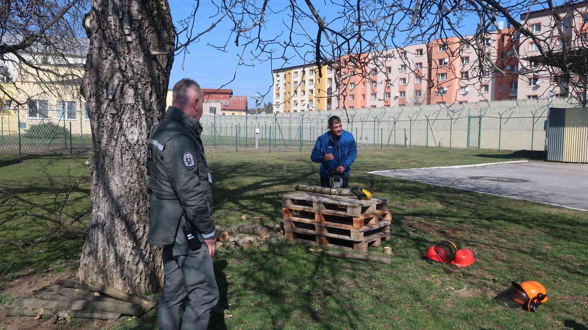Fotografia článku Odsúdení nemajú v rukách len motorovú pílu, ale možno aj svoju budúcnosť