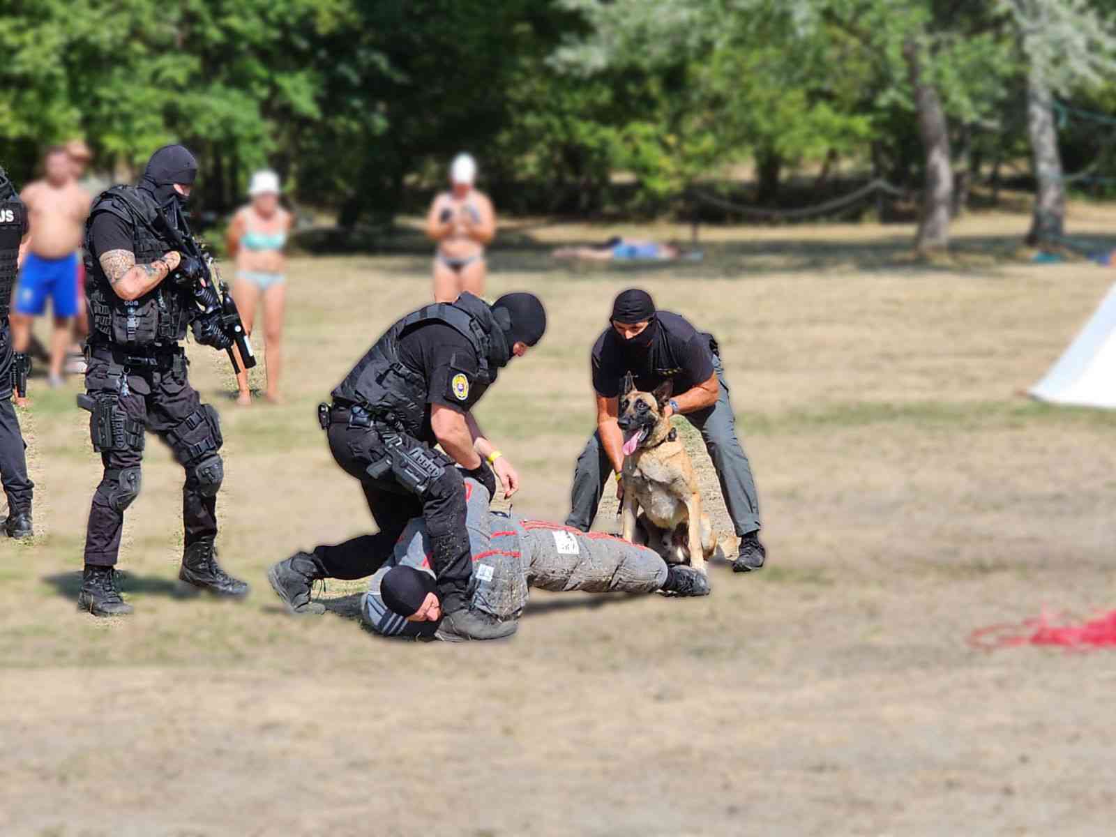 Fotografia článku Na nože spolu so ZVJS