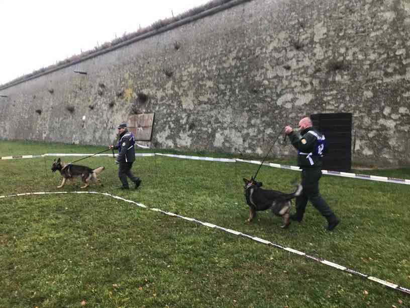 Fotografia článku V Leopoldove sa konala výstava a bonitácia služobných psov