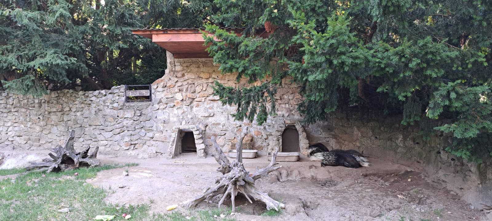 Fotografia galérie