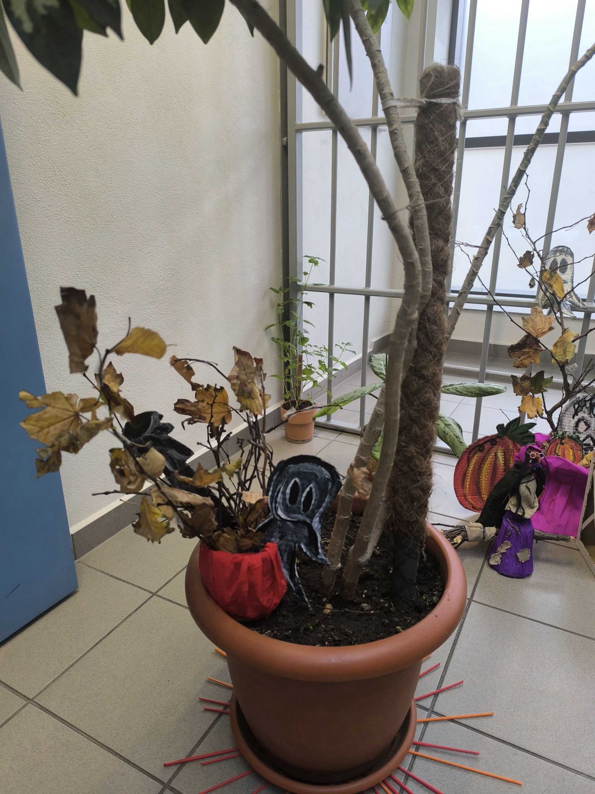 Fotografia galérie