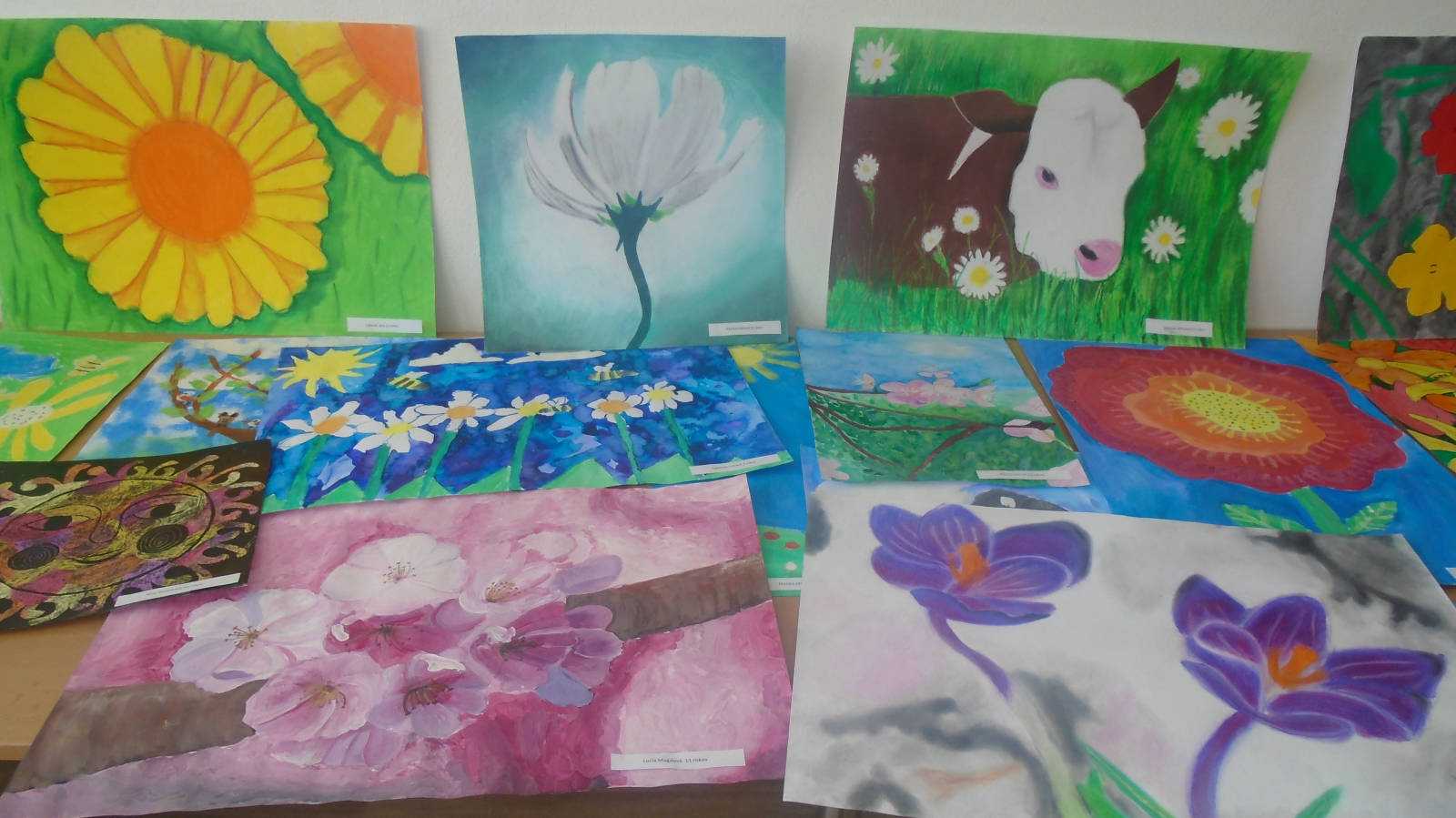 Fotografia galérie