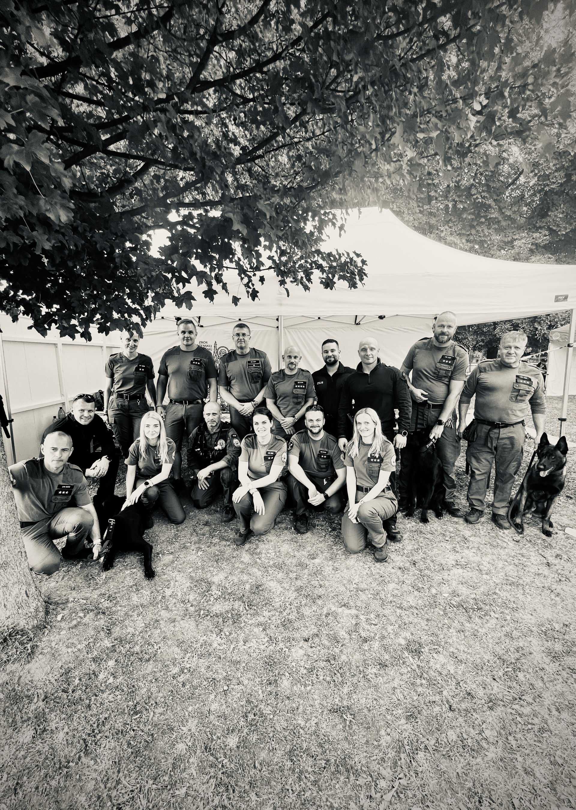 Fotografia galérie