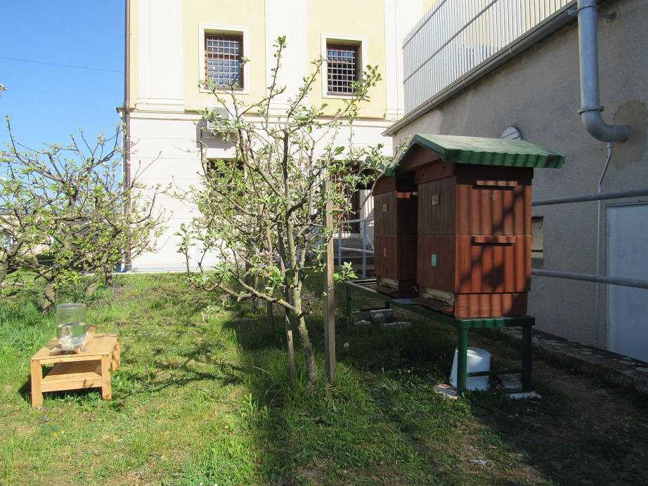 Fotografia galérie