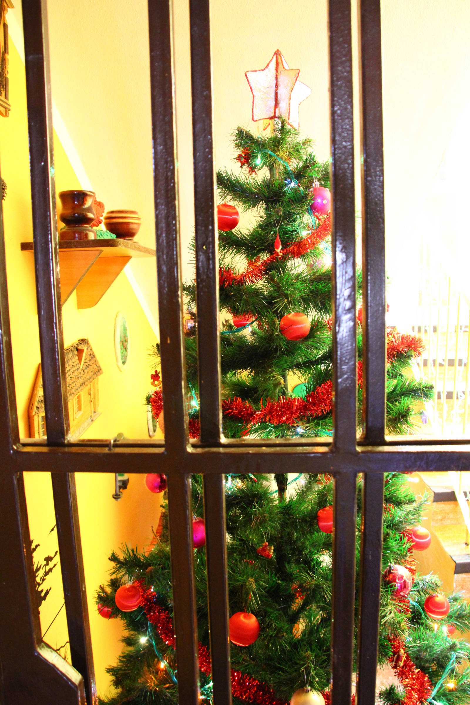 Fotografia galérie