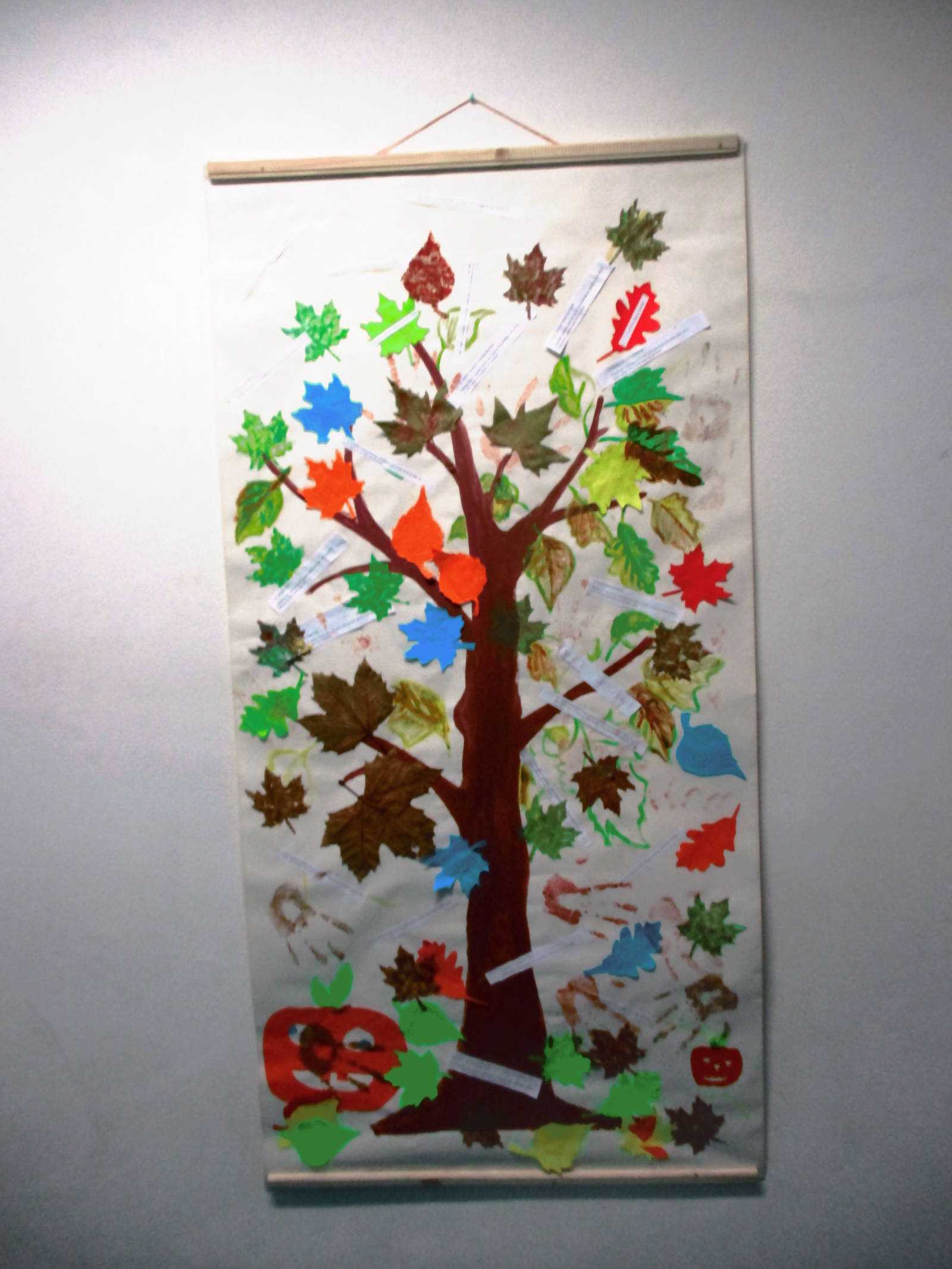 Fotografia galérie