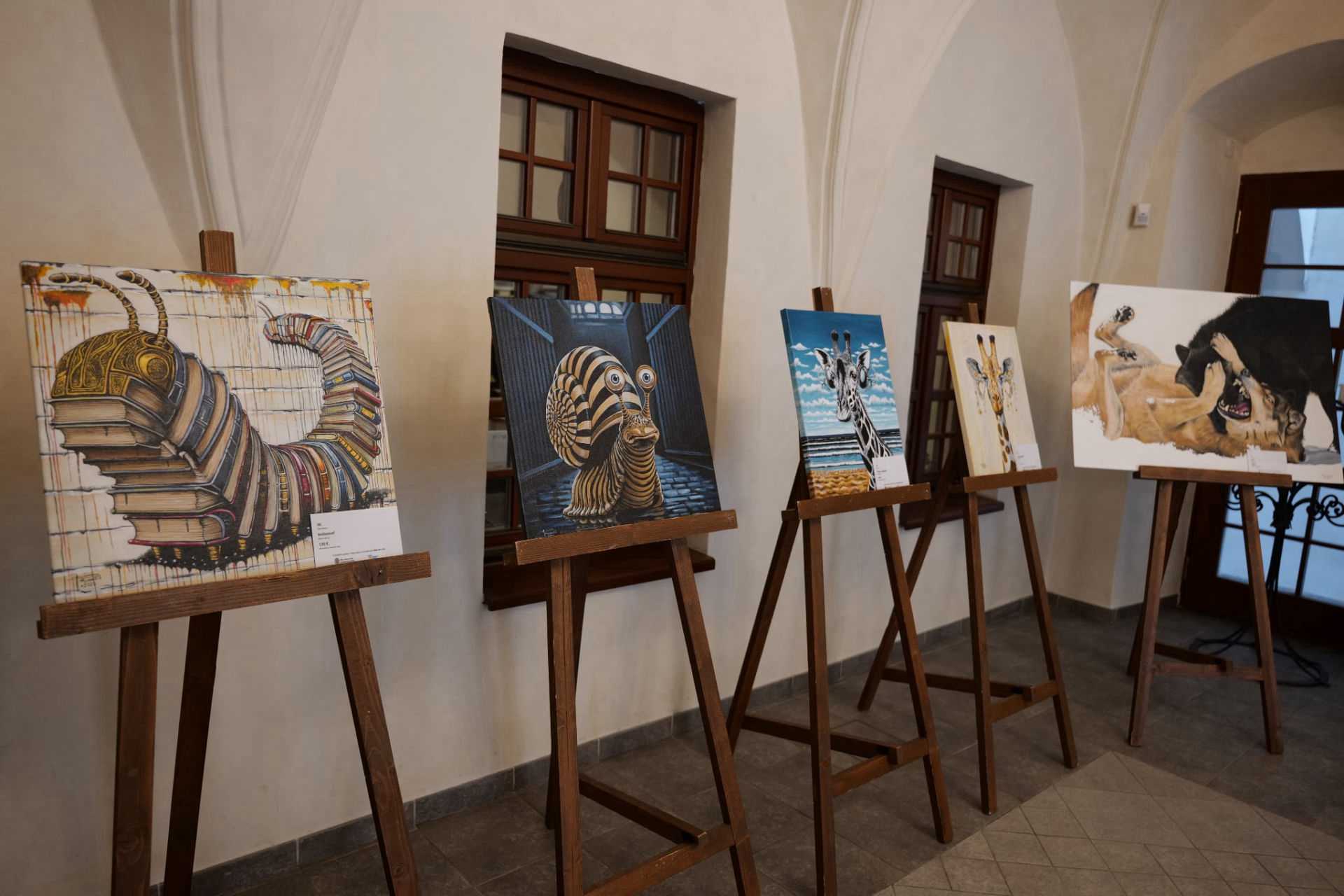 Fotografia galérie