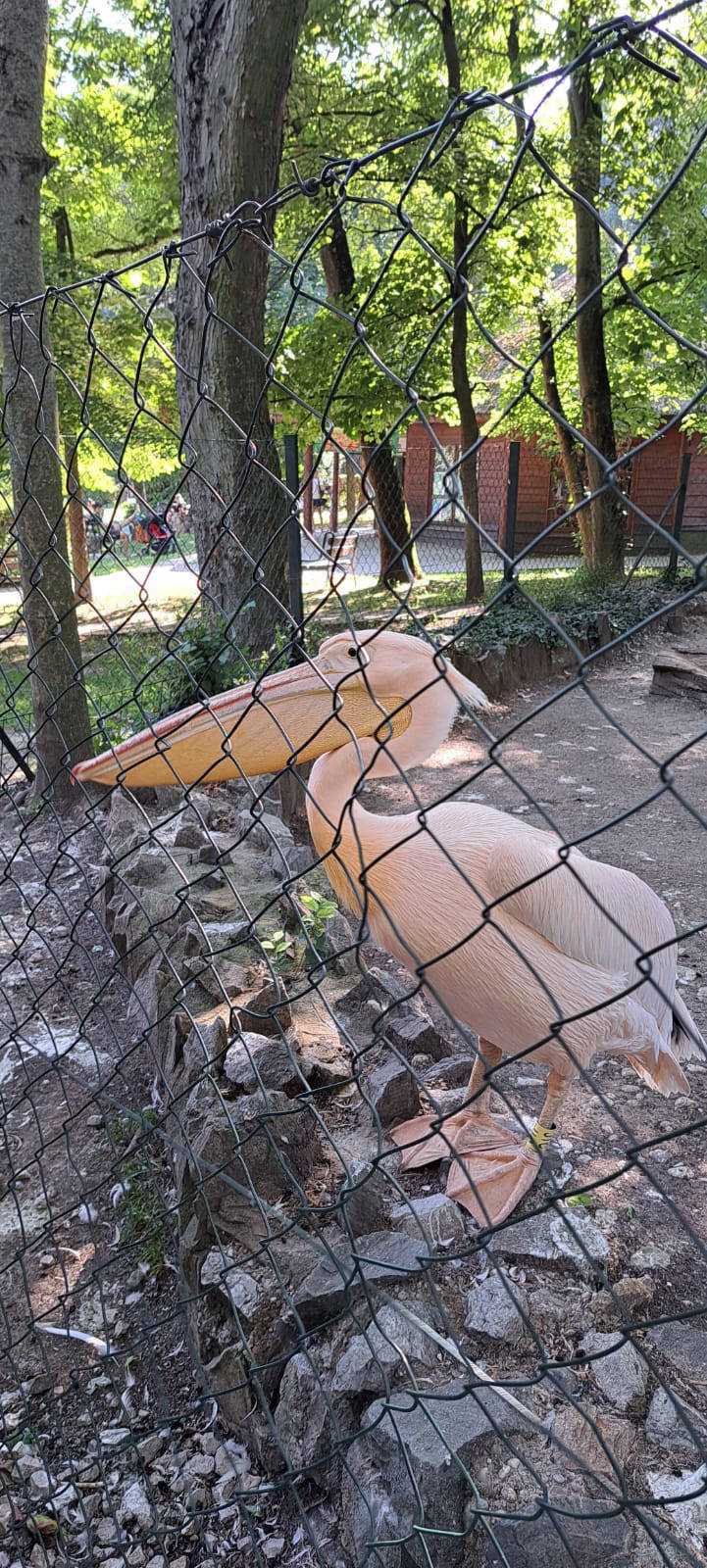 Fotografia galérie