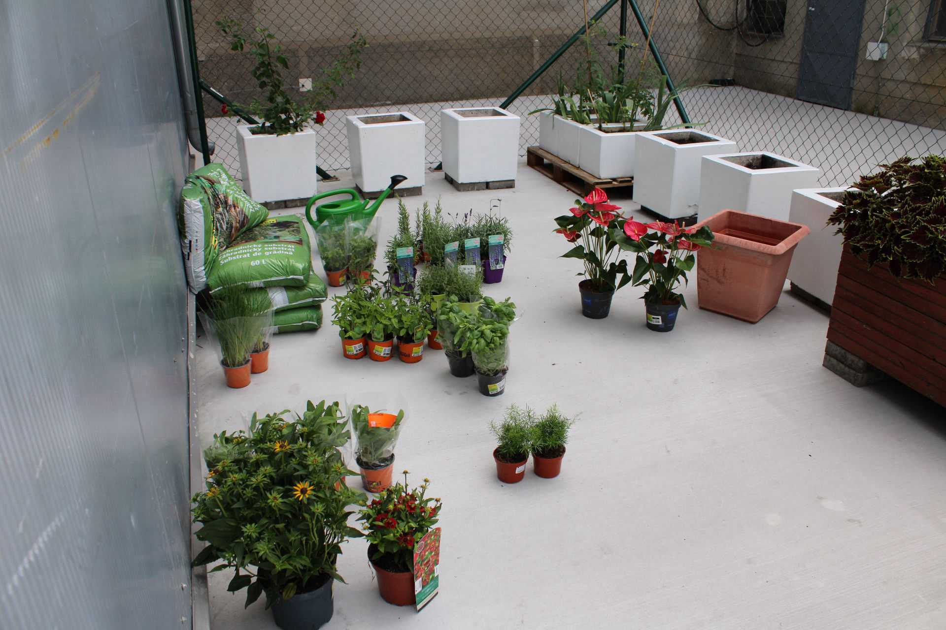 Fotografia galérie