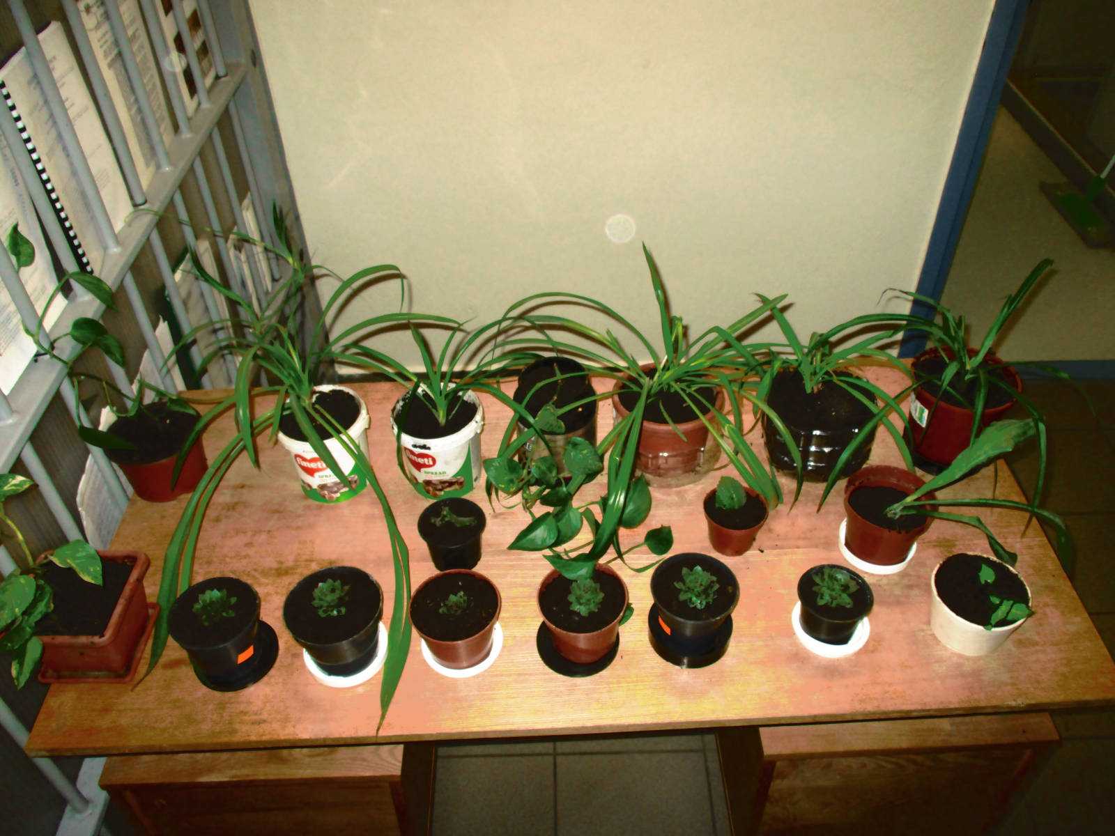 Fotografia galérie