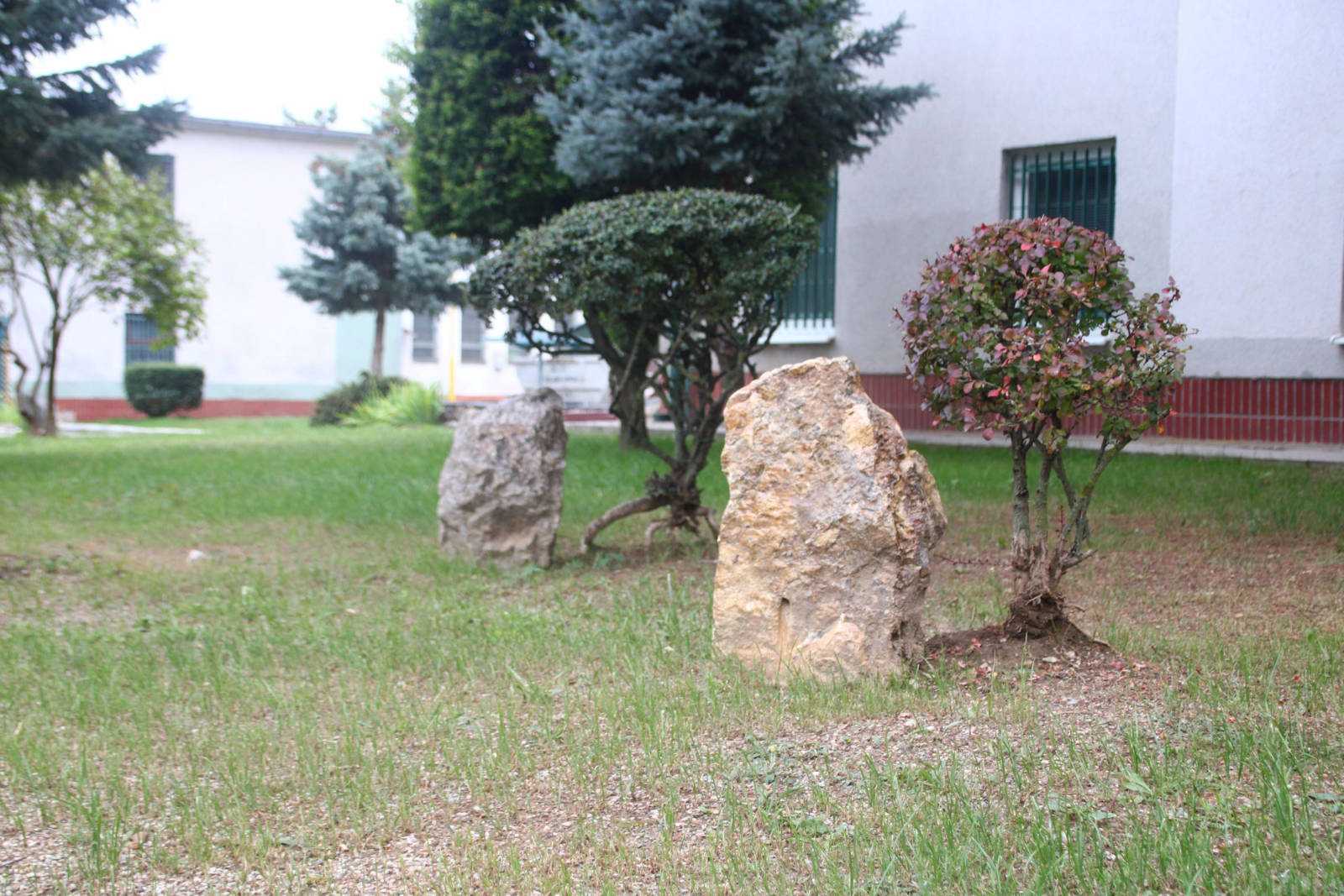 Fotografia galérie