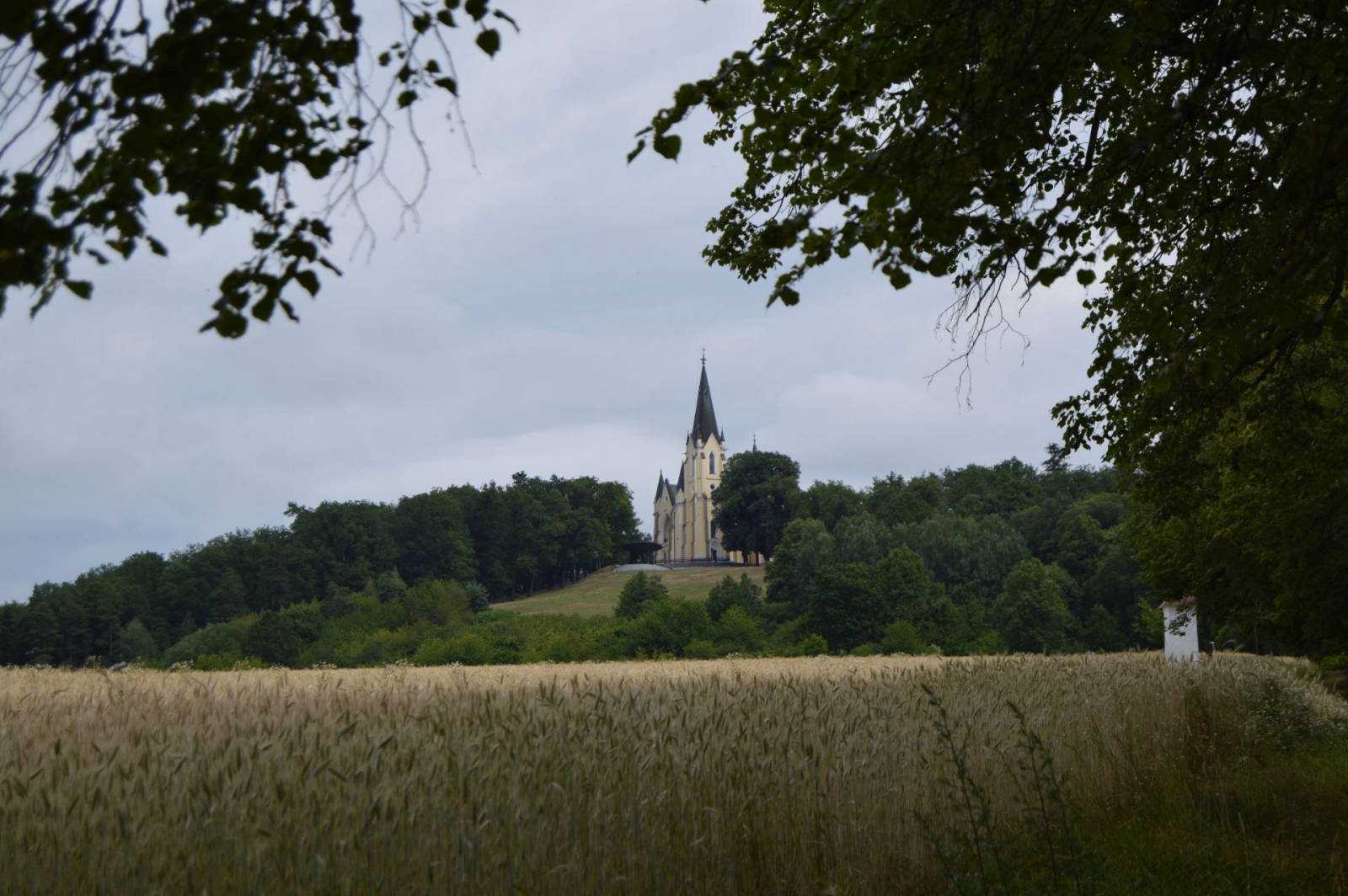 Fotografia galérie