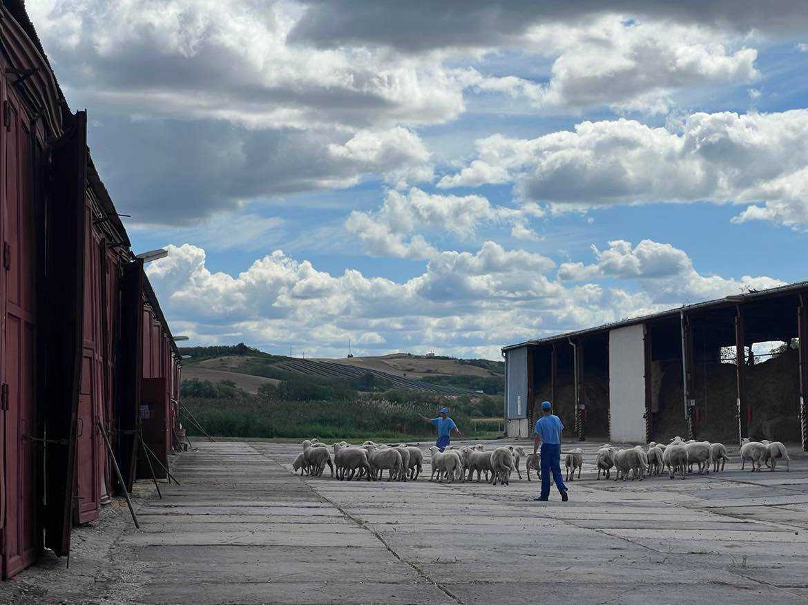 Fotografia galérie