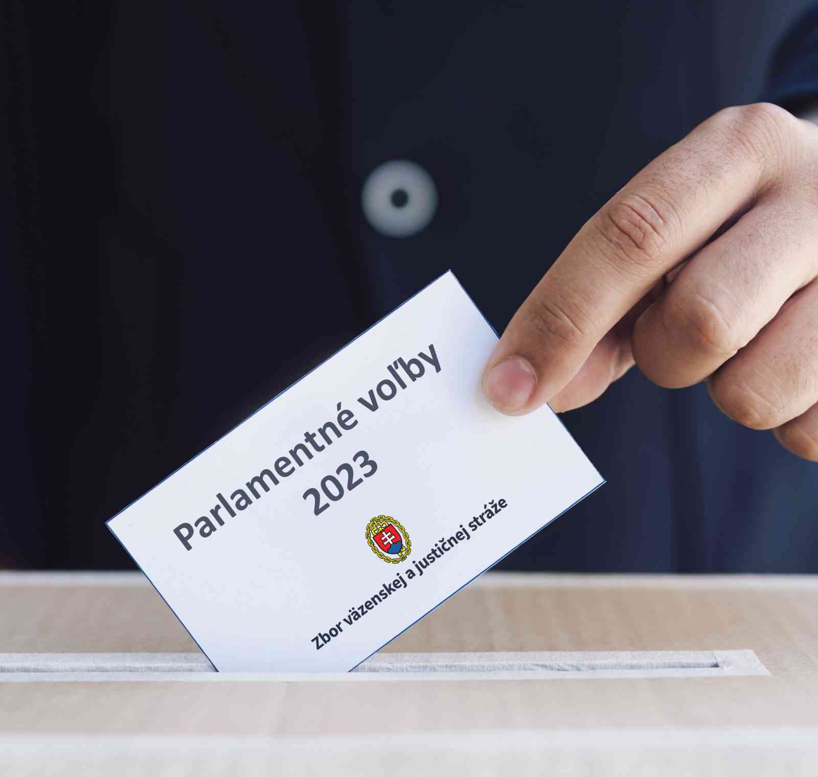 Voľby do Národnej rady Slovenskej republiky v roku 2023