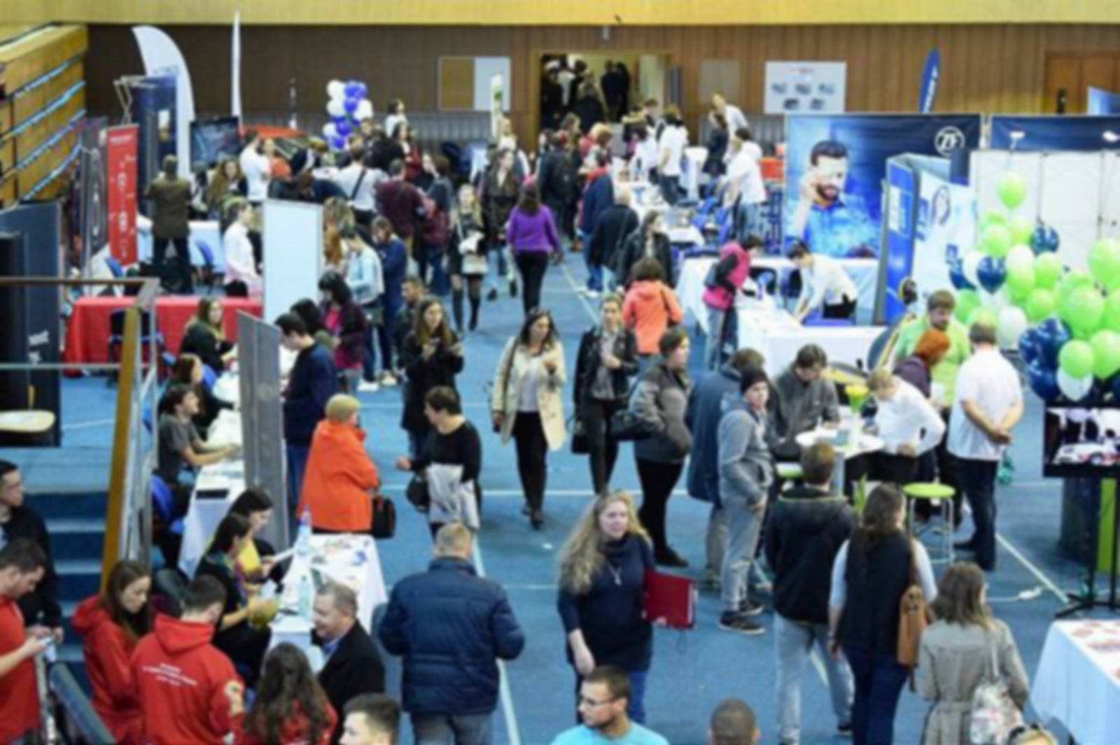 Zvjs Domovska Stranka